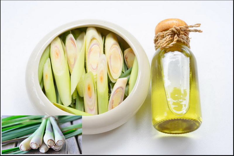 Citronella Oil