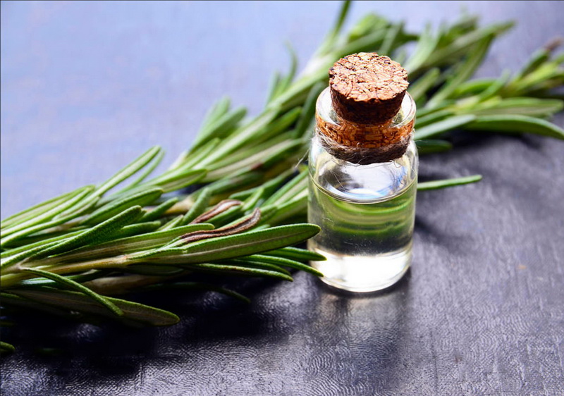 Rosemary Oil